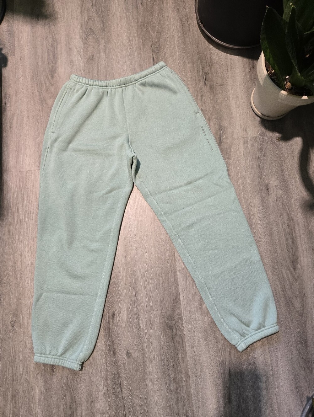 Cozy Earth Light Mint Green  Joggers